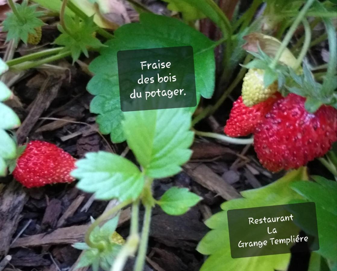 La Grange Templiere 2018 Peyreleau Exterior foto